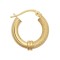 9ct Yellow Polished & Mesh Hoop Earring
