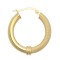9ct Yellow Polished & Mesh Hoop Earring
