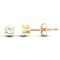 9ct Yellow Gold CZ Claw Set Studs