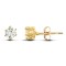 9ct Yellow Gold Cubic Zirconia Claw Set Studs