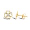9ct Yellow Gold Stud Earrings