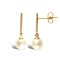 9ct Yellow Gold Pearl Stud Earrings