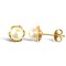 9ct Yellow Gold Pearl Stud Earrings