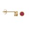 9ct Yellow Rub-over Set Ruby Stud Earrings