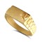 9ct Yellow Gold Initial Blank Ring