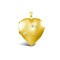 9ct Yellow Gold Heart Locket