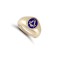 9ct Yellow Gold Enamelled Swivel Centre Masonic Ring