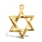9ct Yellow Gold Star Of David Pendant
