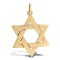 9ct Yellow Gold Star Of David Pendant