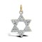 9ct Yellow Gold Cubic Zirconia Star Of David Pendant