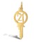 9ct Yellow Gold 21 Key Pendant