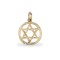 9ct Yellow Gold Star Of David Pendant