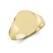 9ct Yellow Gold Signet Ring