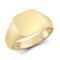 9ct Yellow Gold Signet Ring