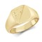 9ct Yellow Gold Signet Ring
