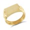 9ct Yellow Gold Signet Ring